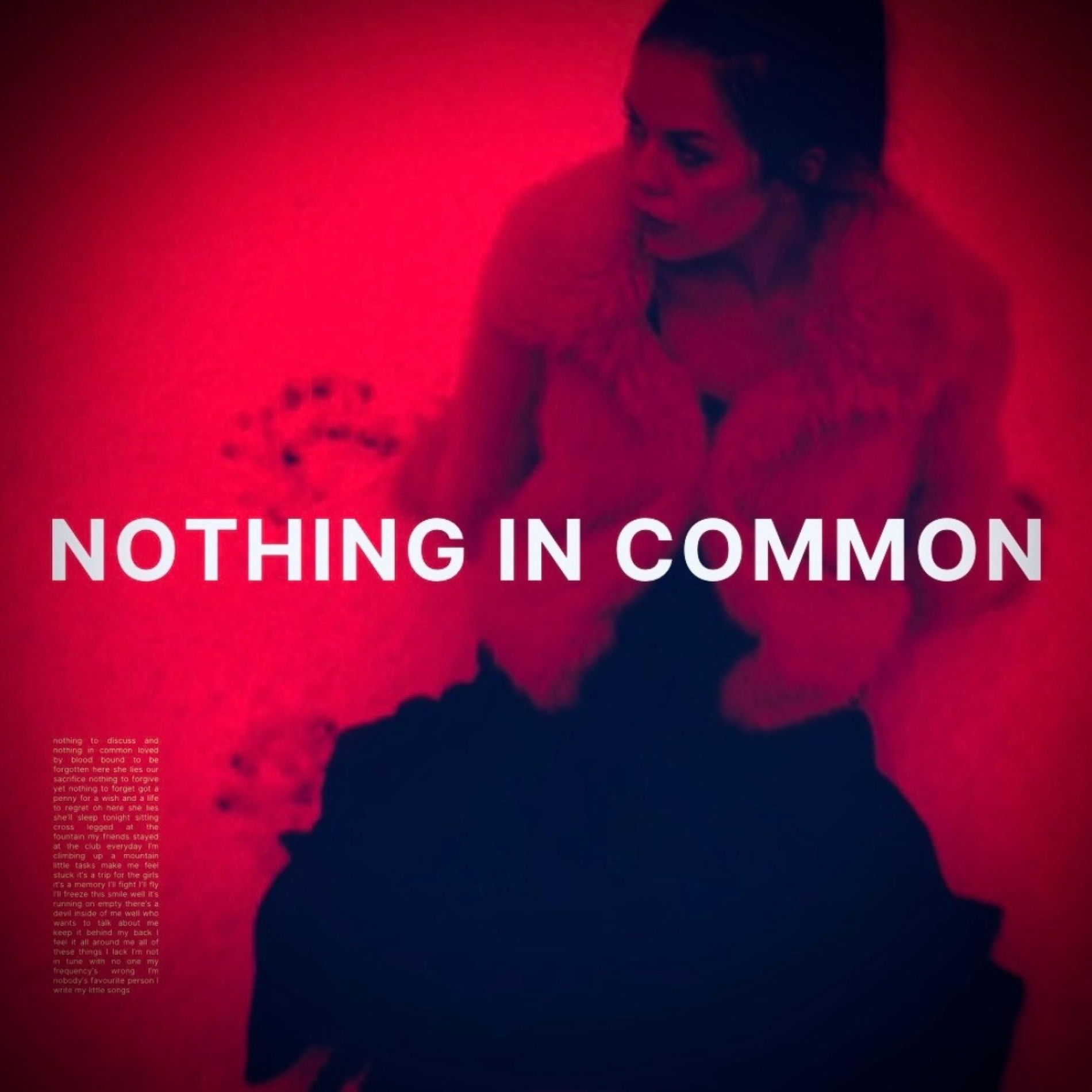 Album cover of NOTHING IN COMMON