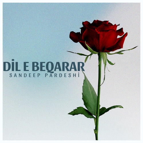 Dil E Beqarar