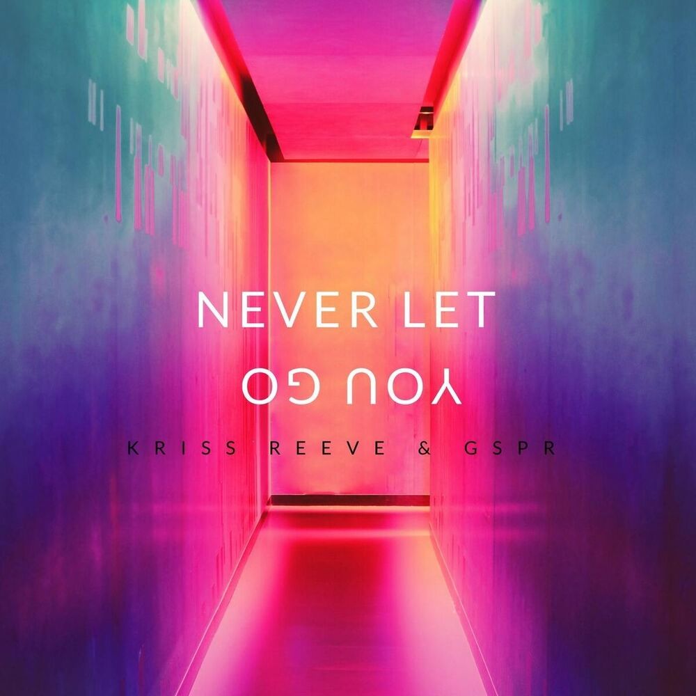 Picture of Never Let You Go