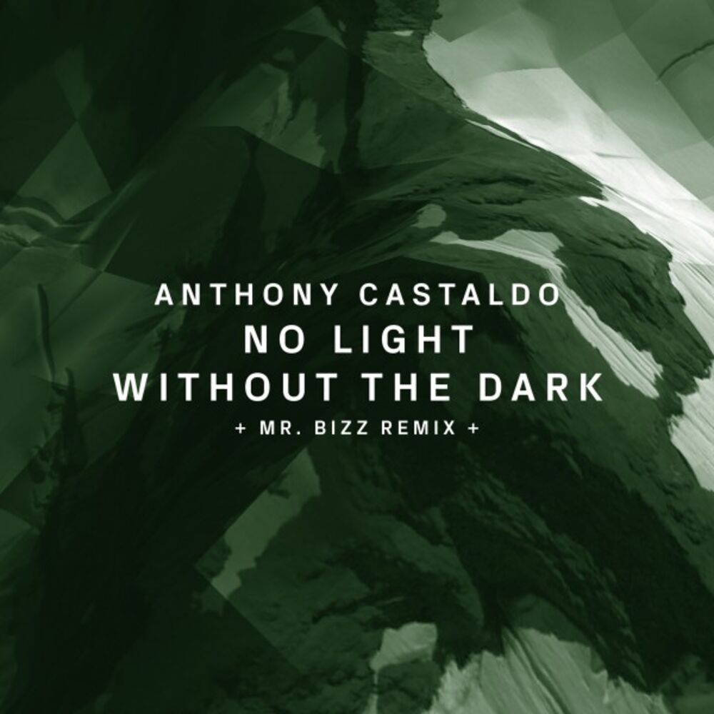 Picture of No Light Without the Dark