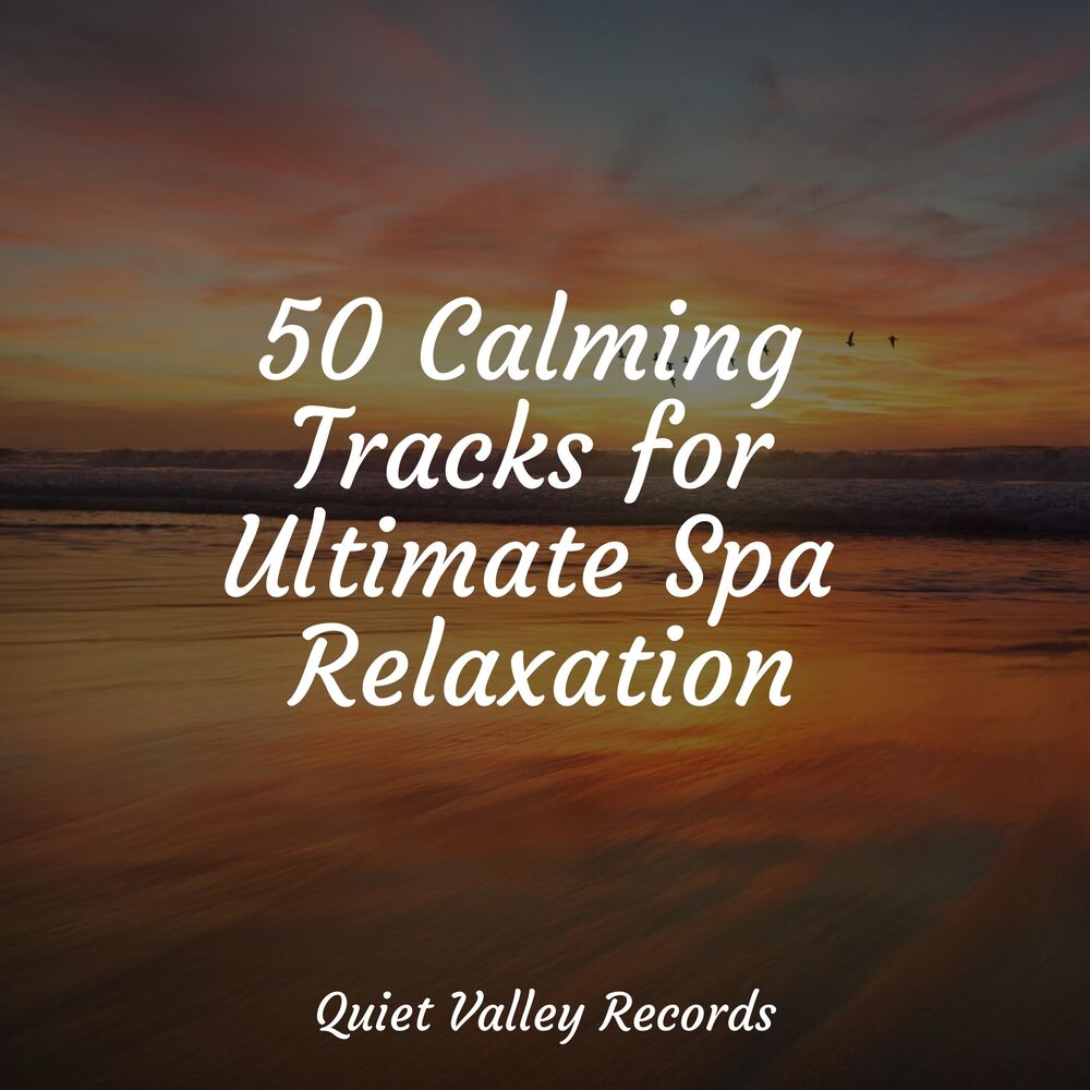 Picture of 50 Calming Tracks for Ultimate Spa Relaxation