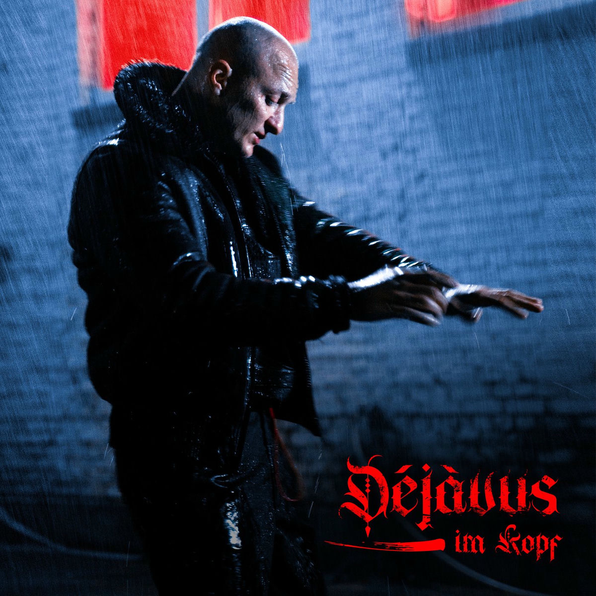 Album cover of Déjàvus im Kopf