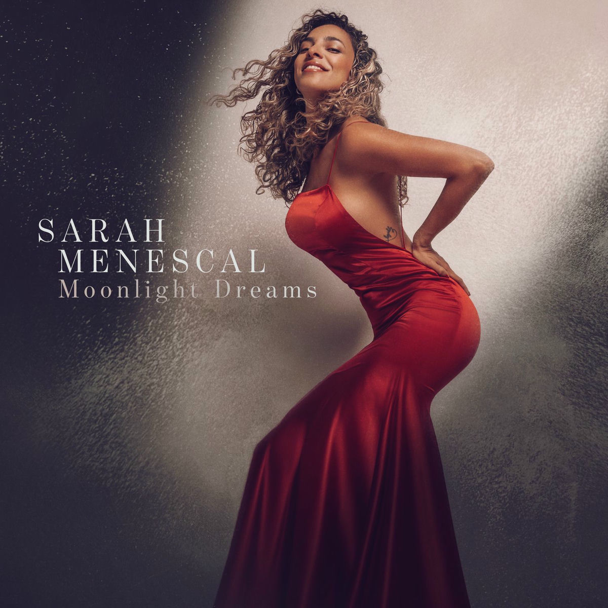 Album cover of Moonlight Dreams