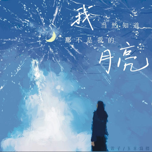 我当然知道那不是我的月亮
