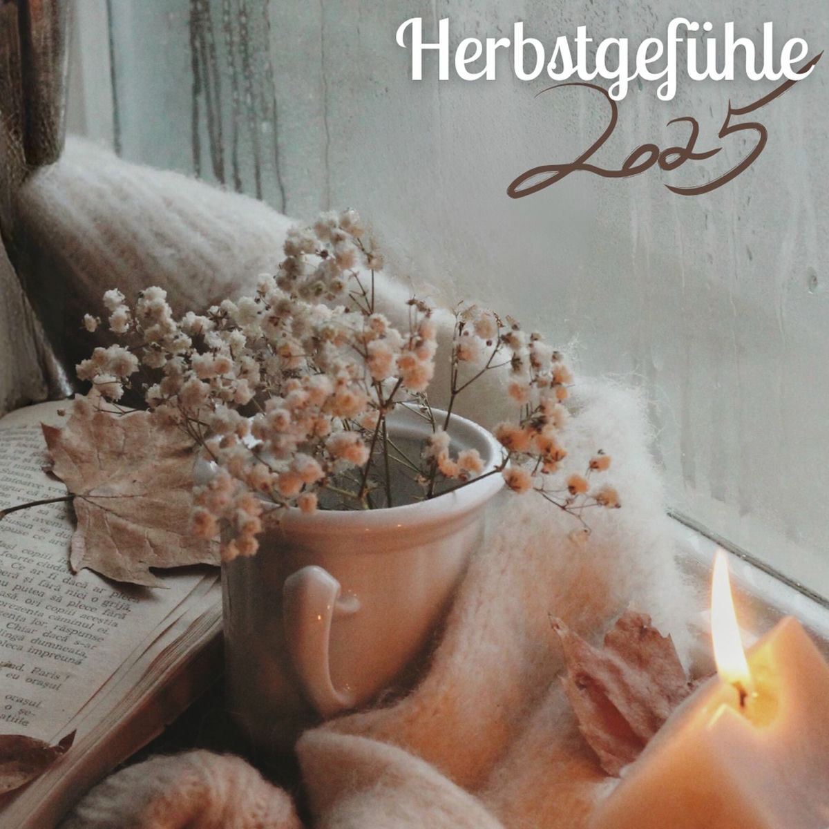 Album cover of Herbstgefühle 2025