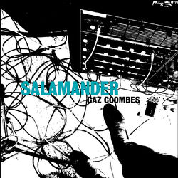 Cover of Salamander