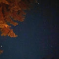 Somewhere Under the Stars