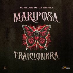 Cover of Mariposa Traicionera