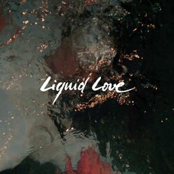 Cover of Liquid Love