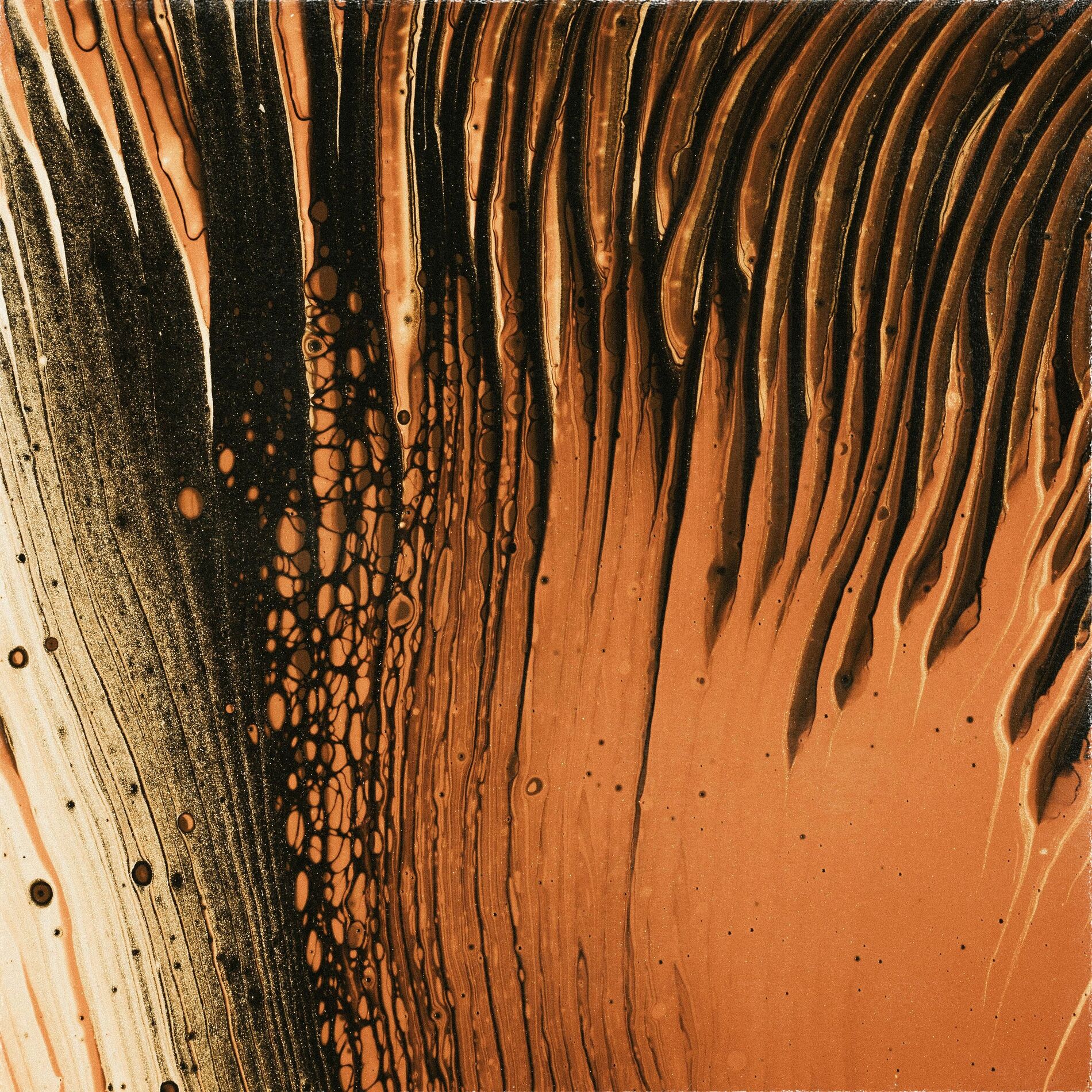 Album cover of Bronze