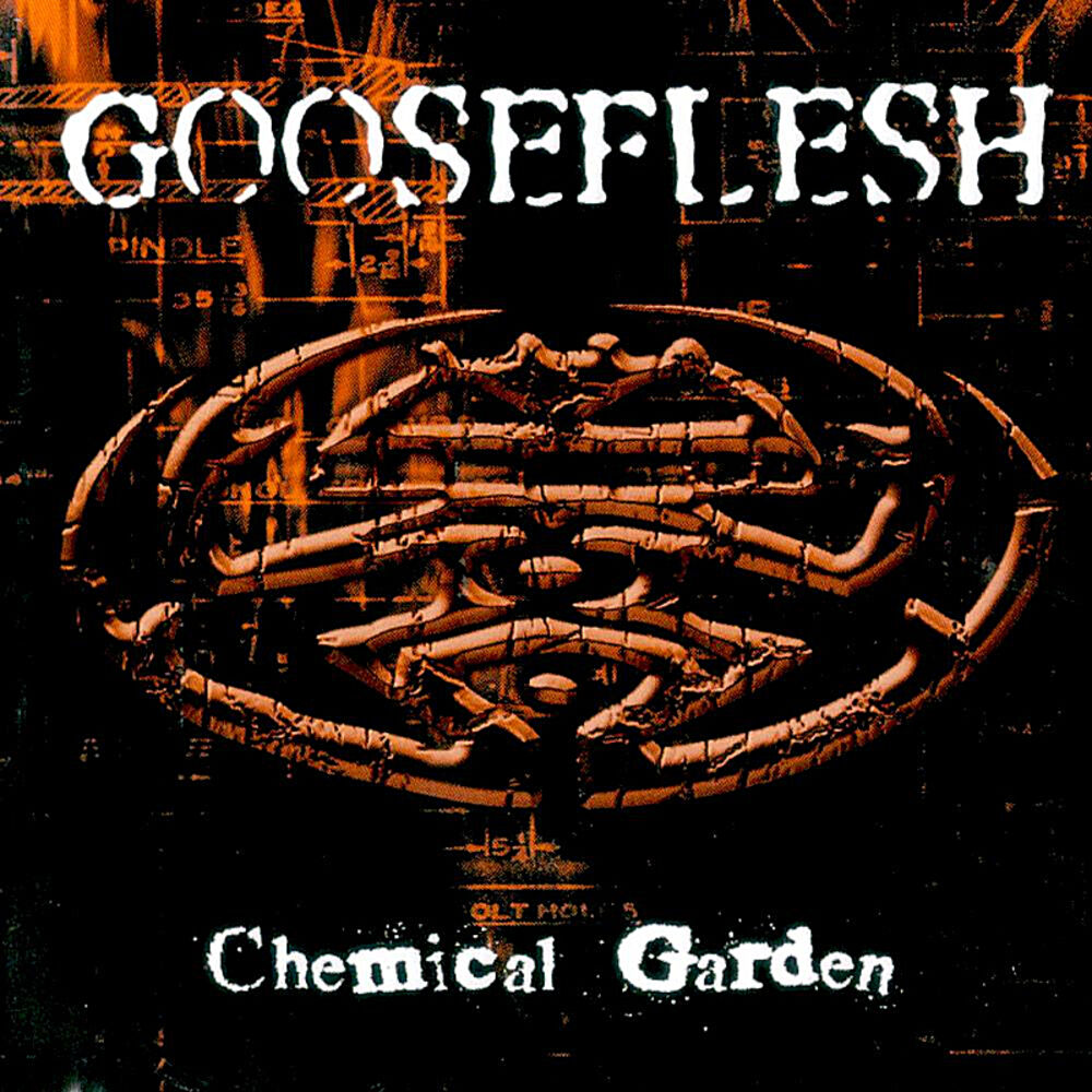 Picture of Chemical Garden