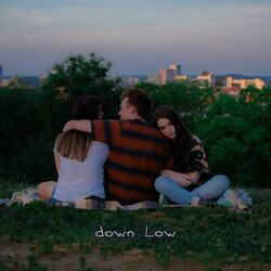 Cover of Down Low