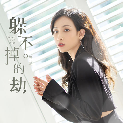 躲不掉的劫