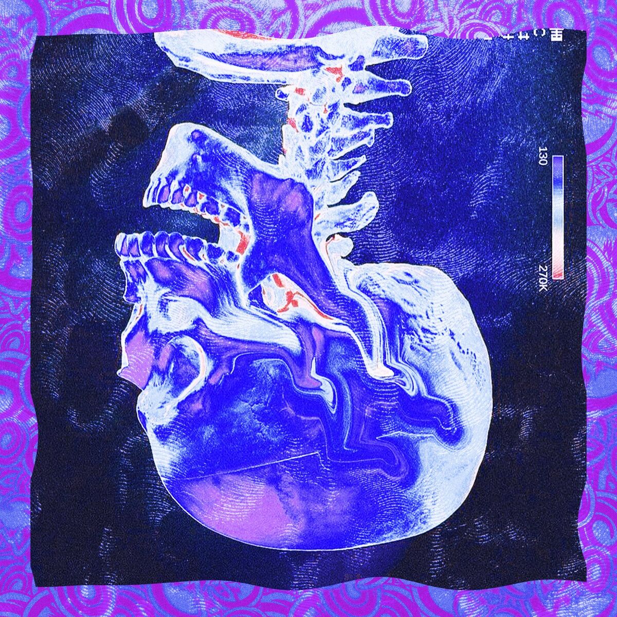Album cover of PLANETA DESCONHECIDO