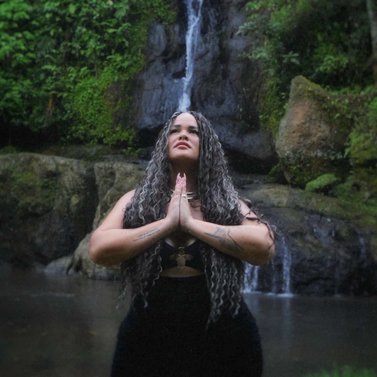 Album cover of Grow