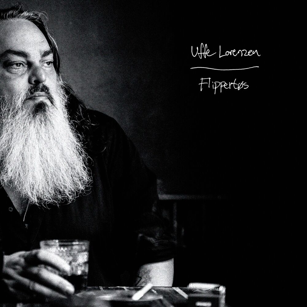 Picture of Flippertøs