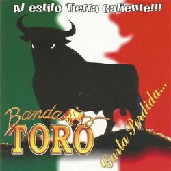 Cover of Carta Perdida