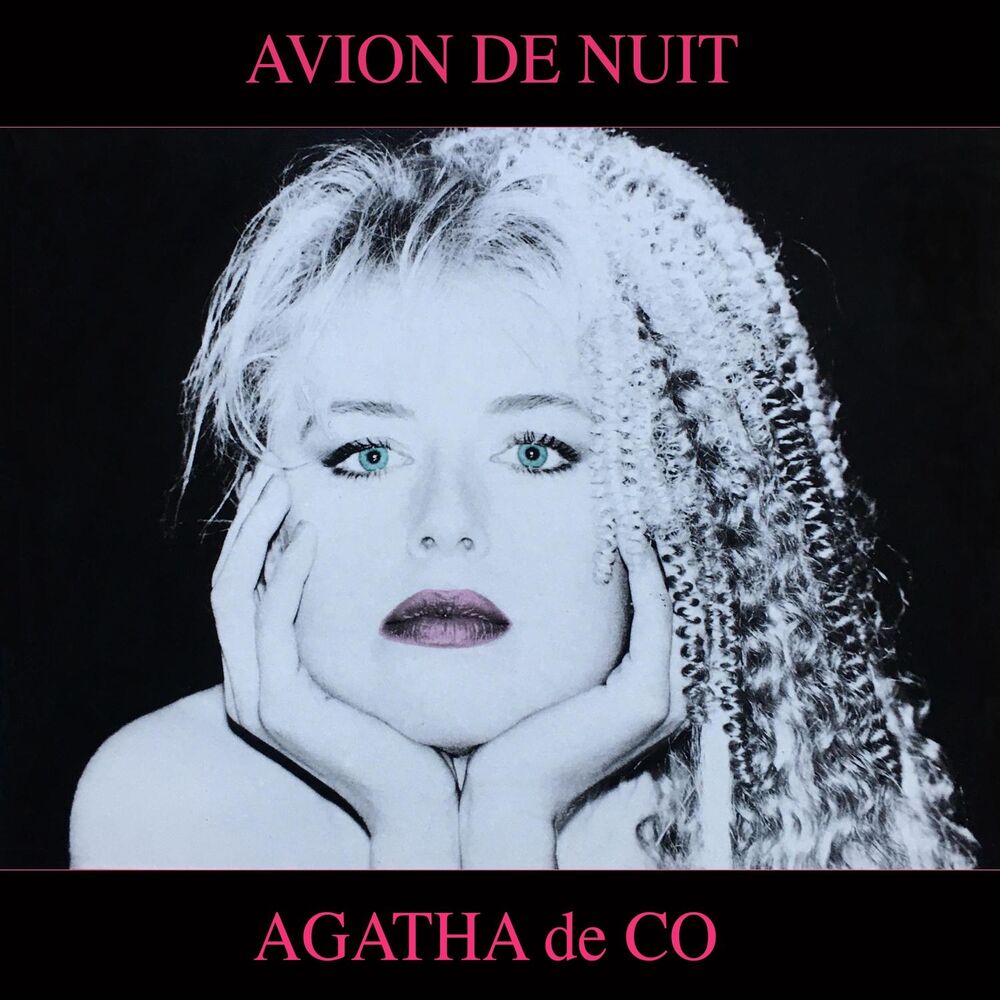 Picture of Avion de Nuit