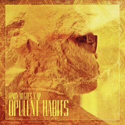 Cover of Opulent Habits