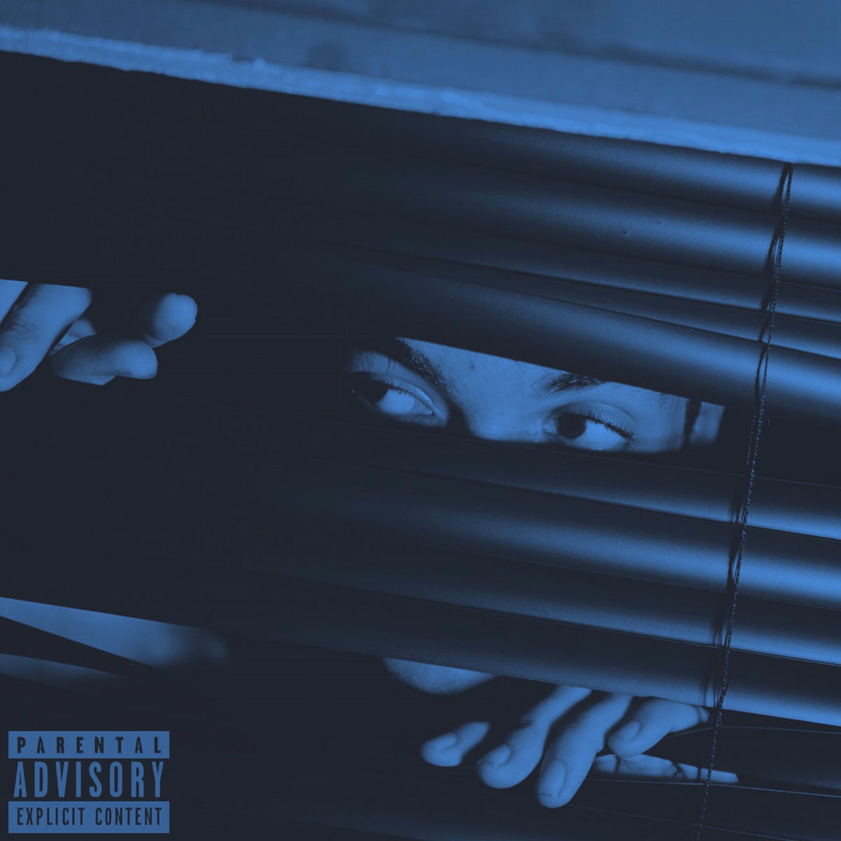 Album cover of De Borest