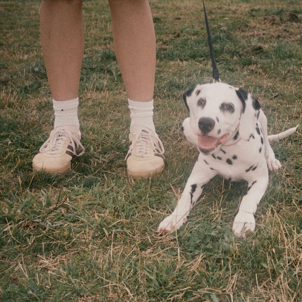 Picture of Someone You Loved