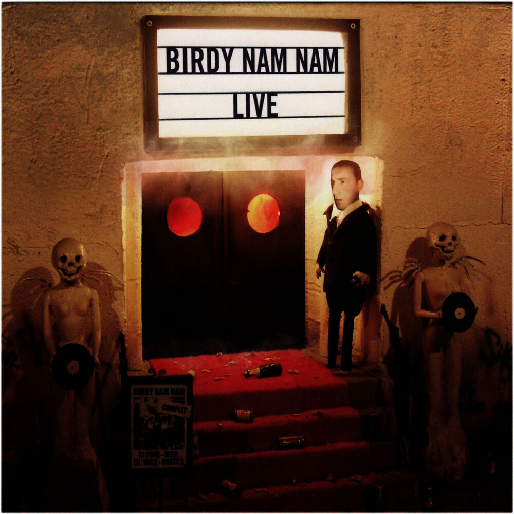 Picture of Birdy Nam Nam Live