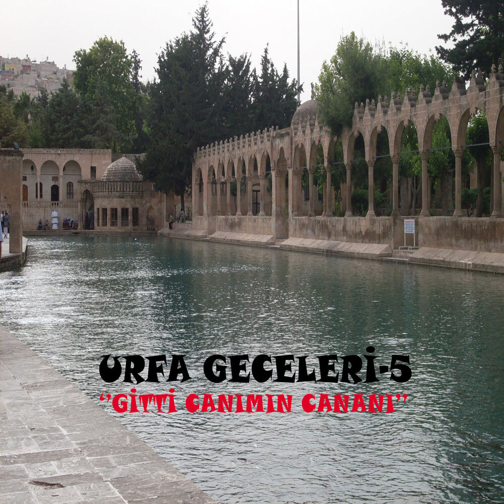 Picture of Urfa Geceleri 5