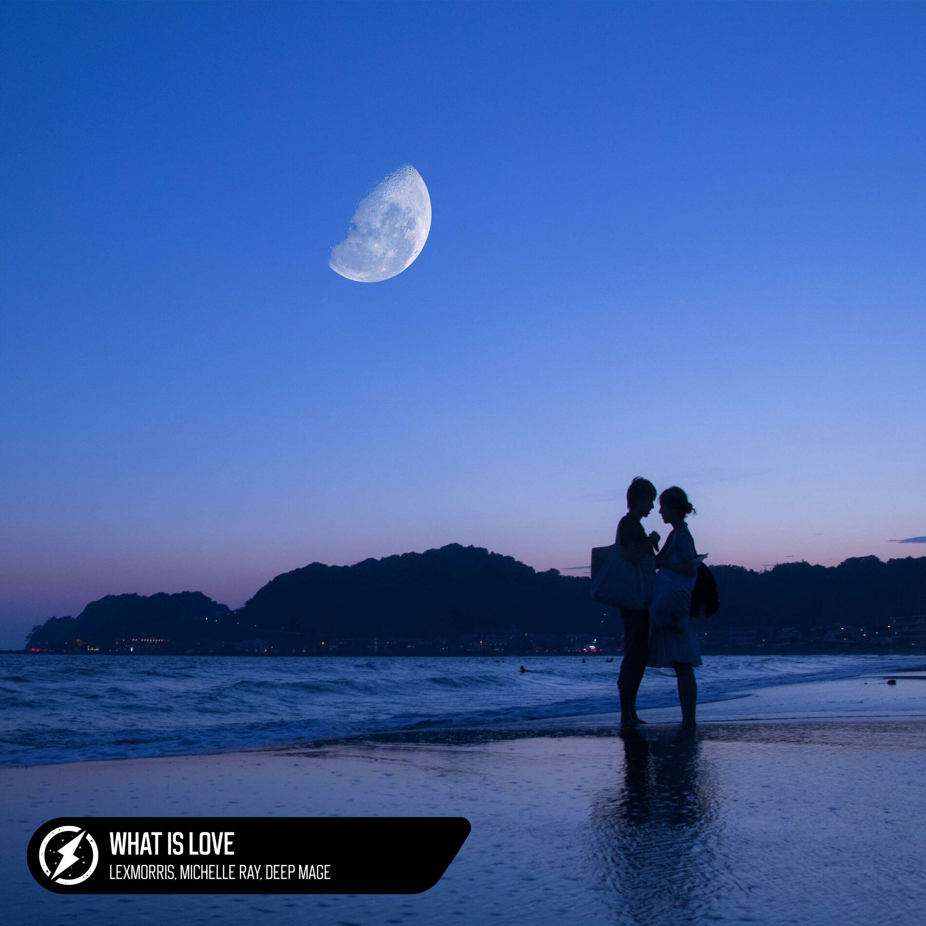 Album cover of What Is Love