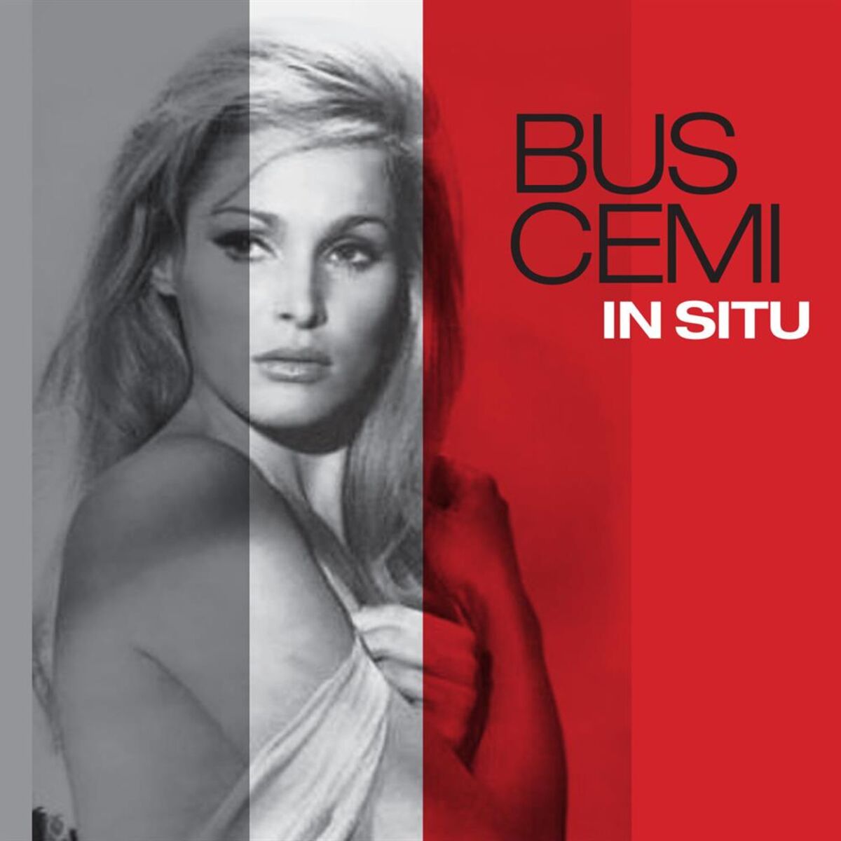 Album cover of In Situ