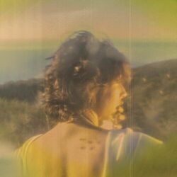 Cover of The Bluffs