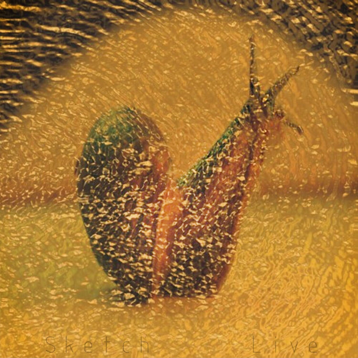 Album cover of Live Recordings