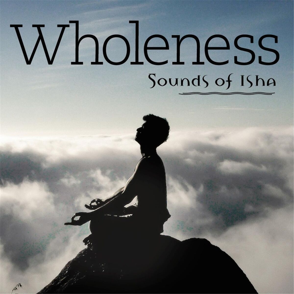 Album cover of Wholeness