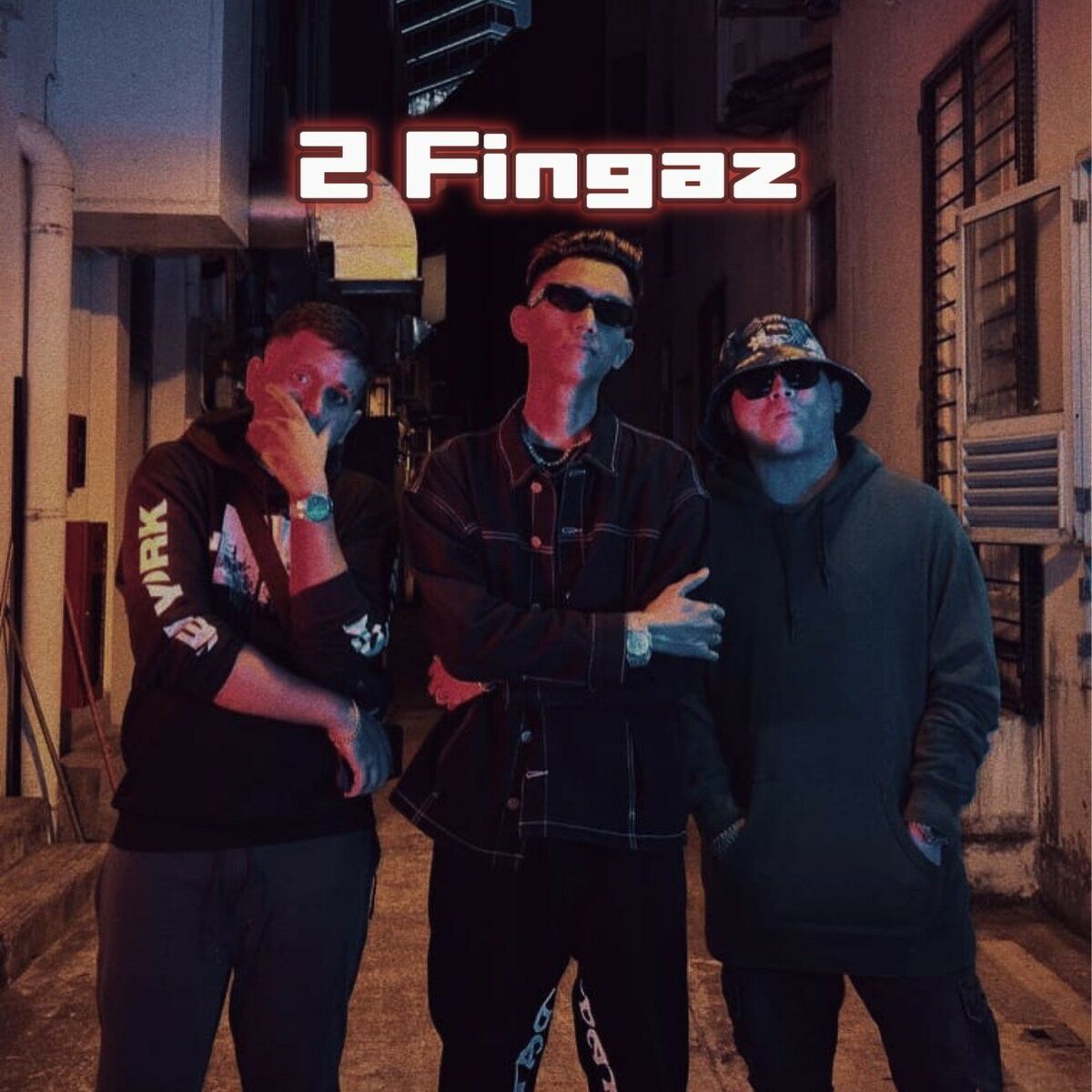 Album cover of 2 Fingaz