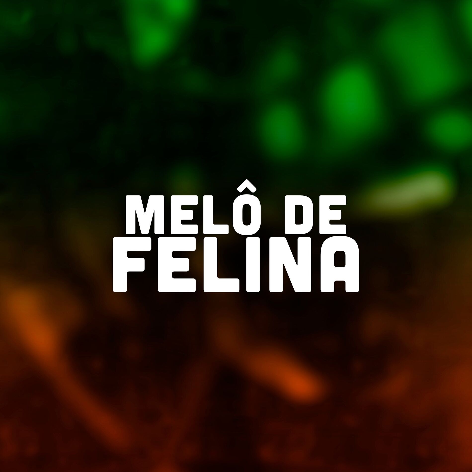 Album cover of Melô de Felina