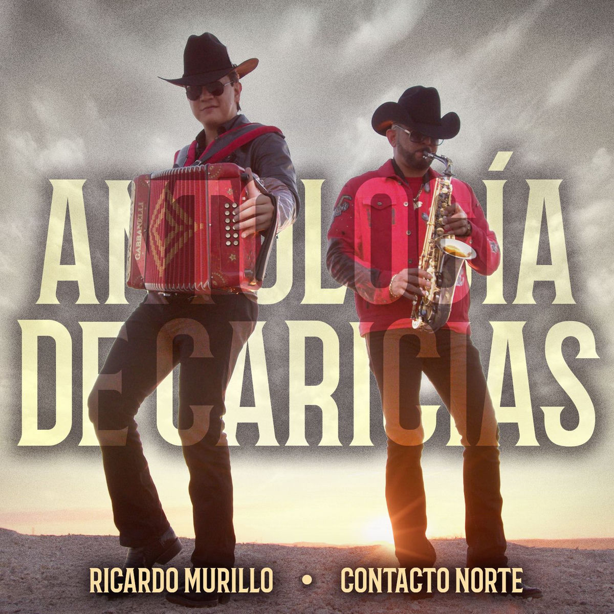 Album cover of Antología De Caricias