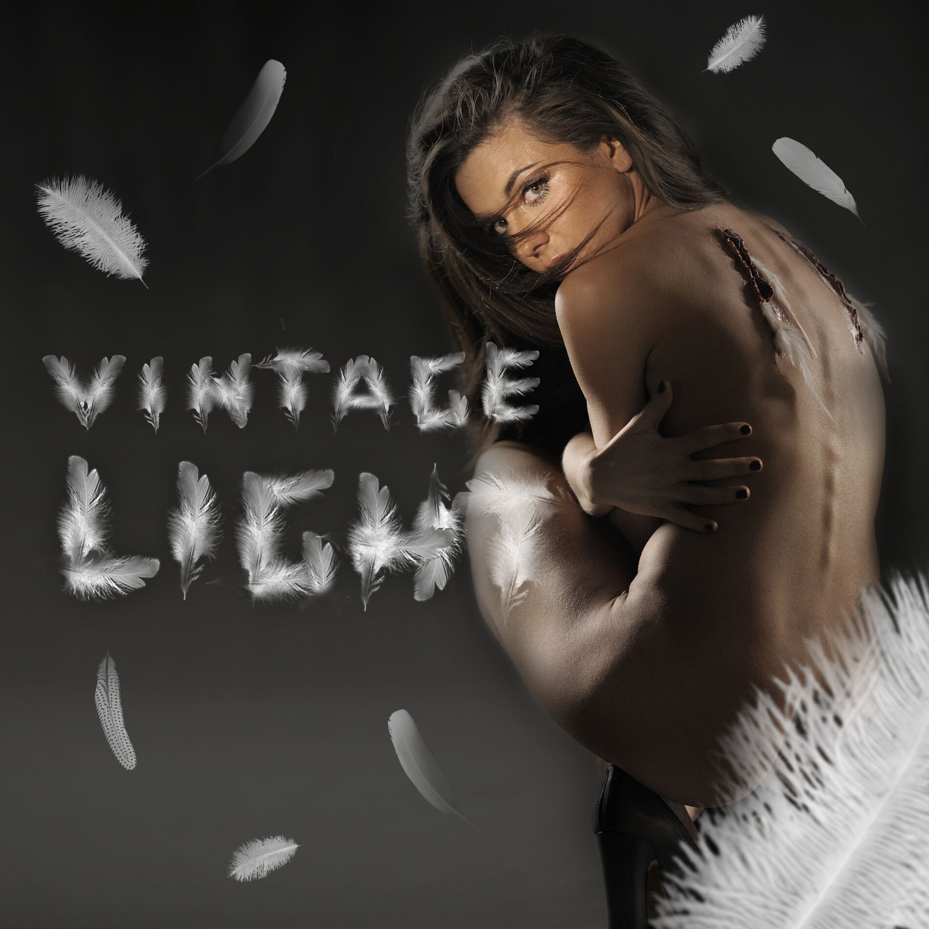 Album cover of Light