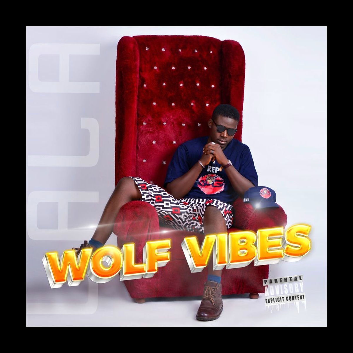 Album cover of Wolf Vibes