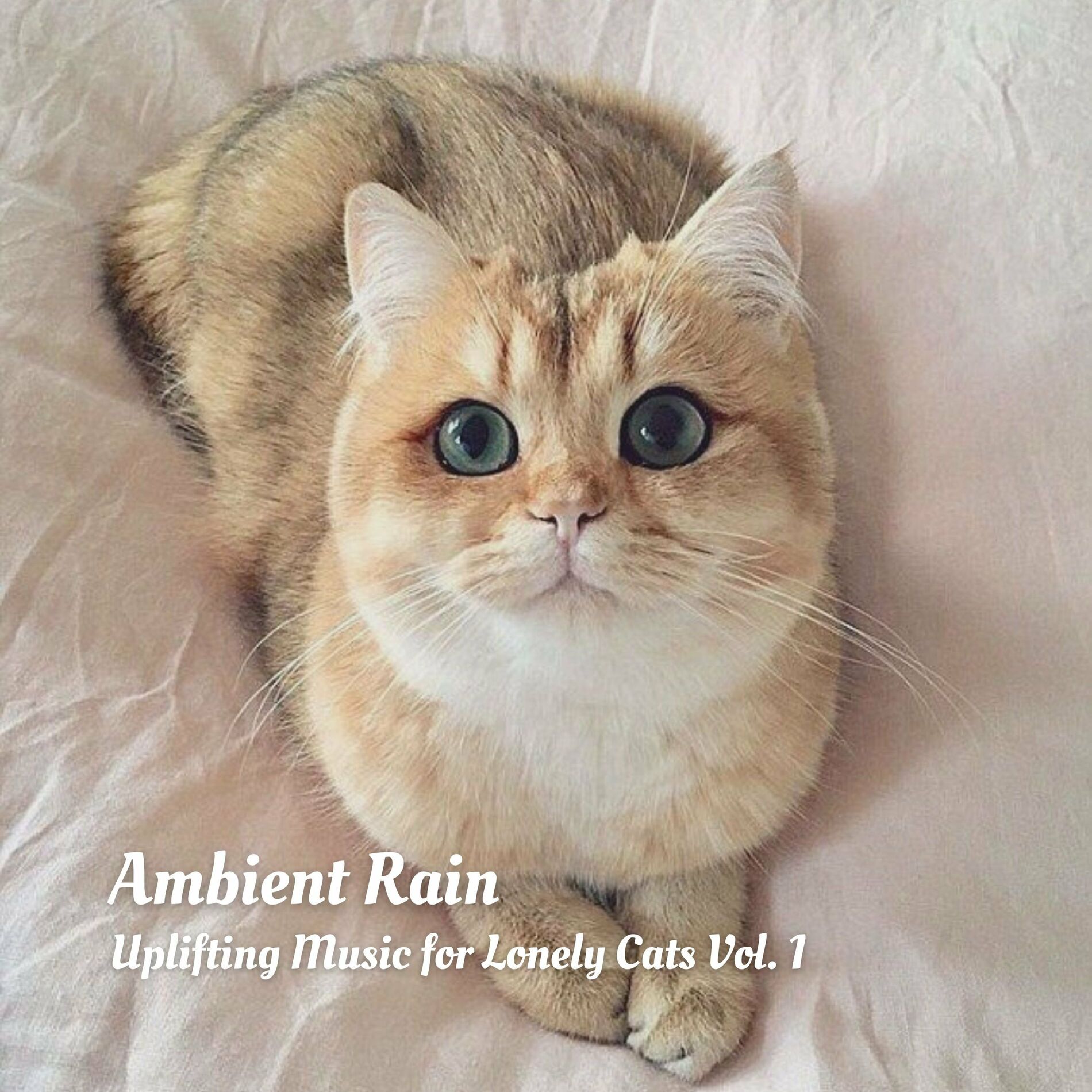 Album cover of Ambient Rain: Uplifting Music for Lonely Cats Vol. 1