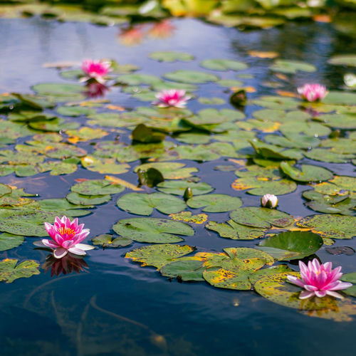 365 Mindfulness: Winds Of Change