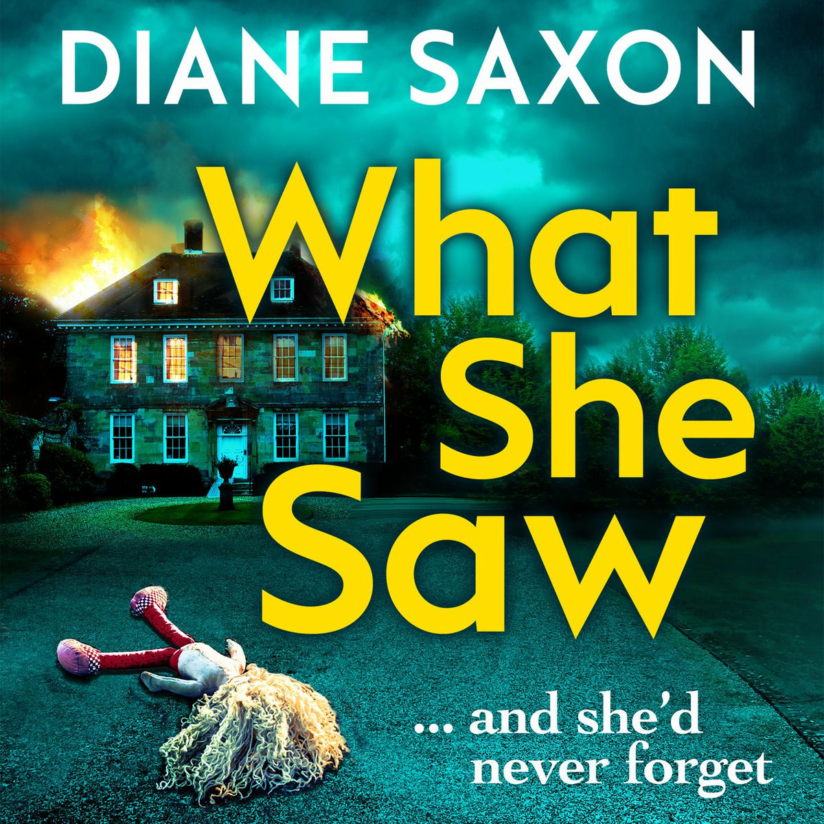 Album cover of What She Saw - A gripping new psychological thriller for 2020 (Unabridged)