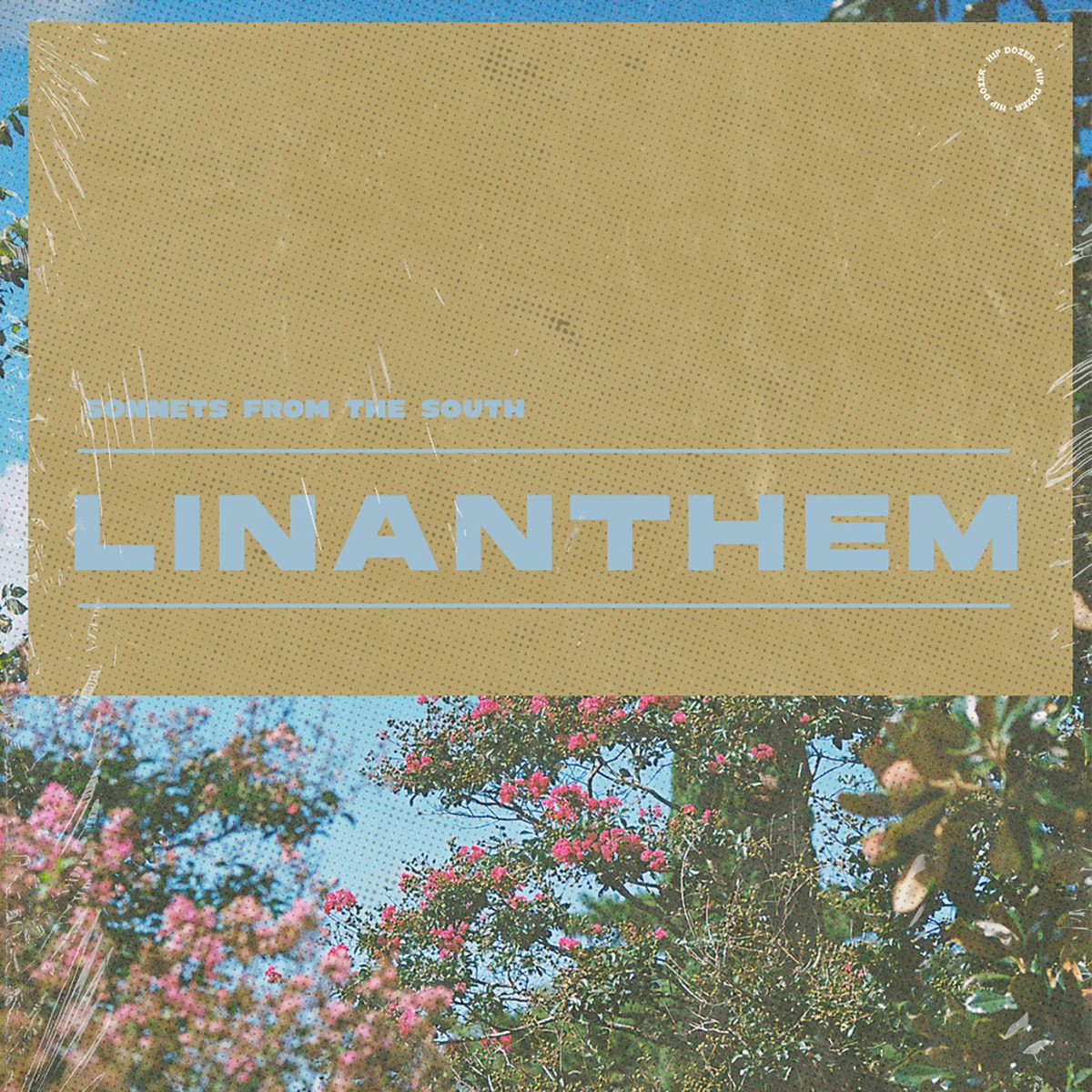 Album cover of alive, again