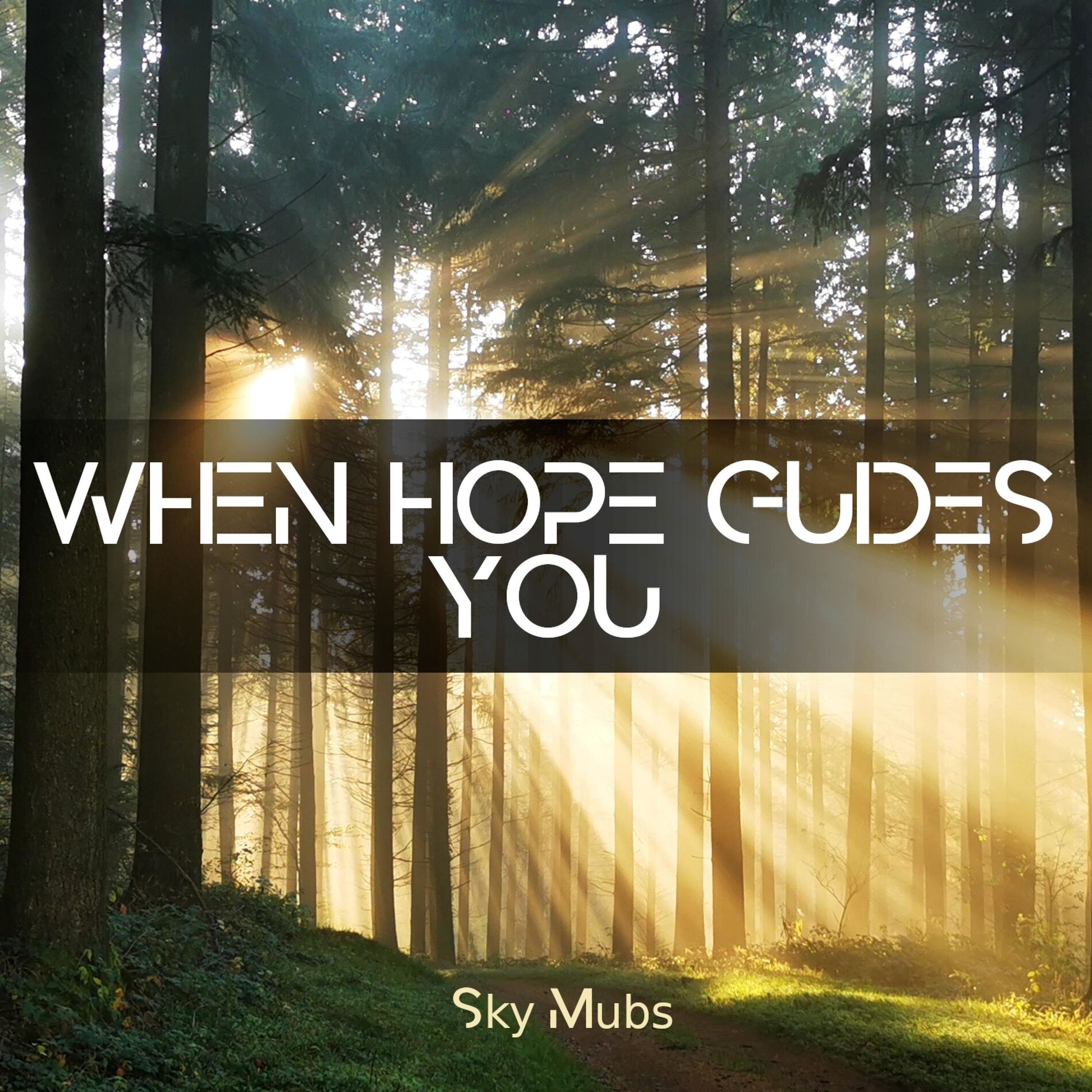 Album cover of When Hope guides You