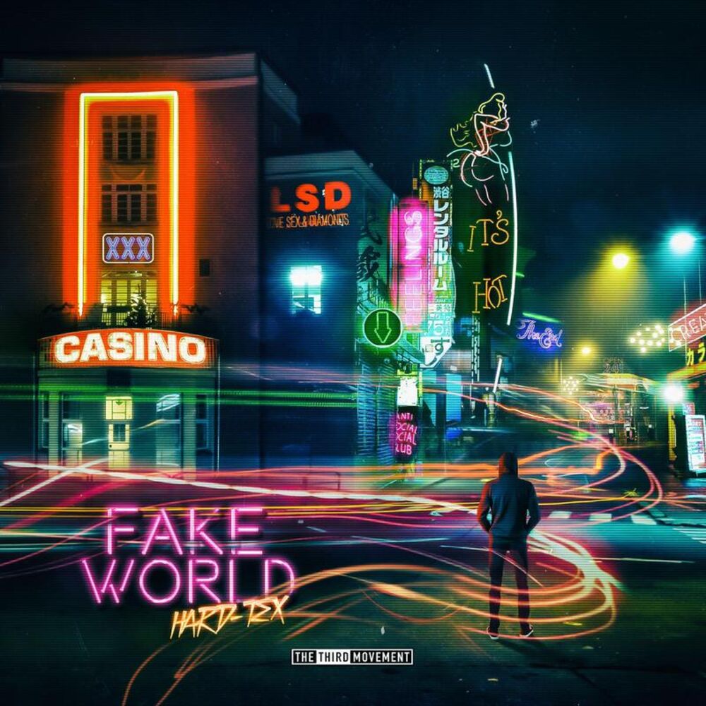 Picture of Fake World