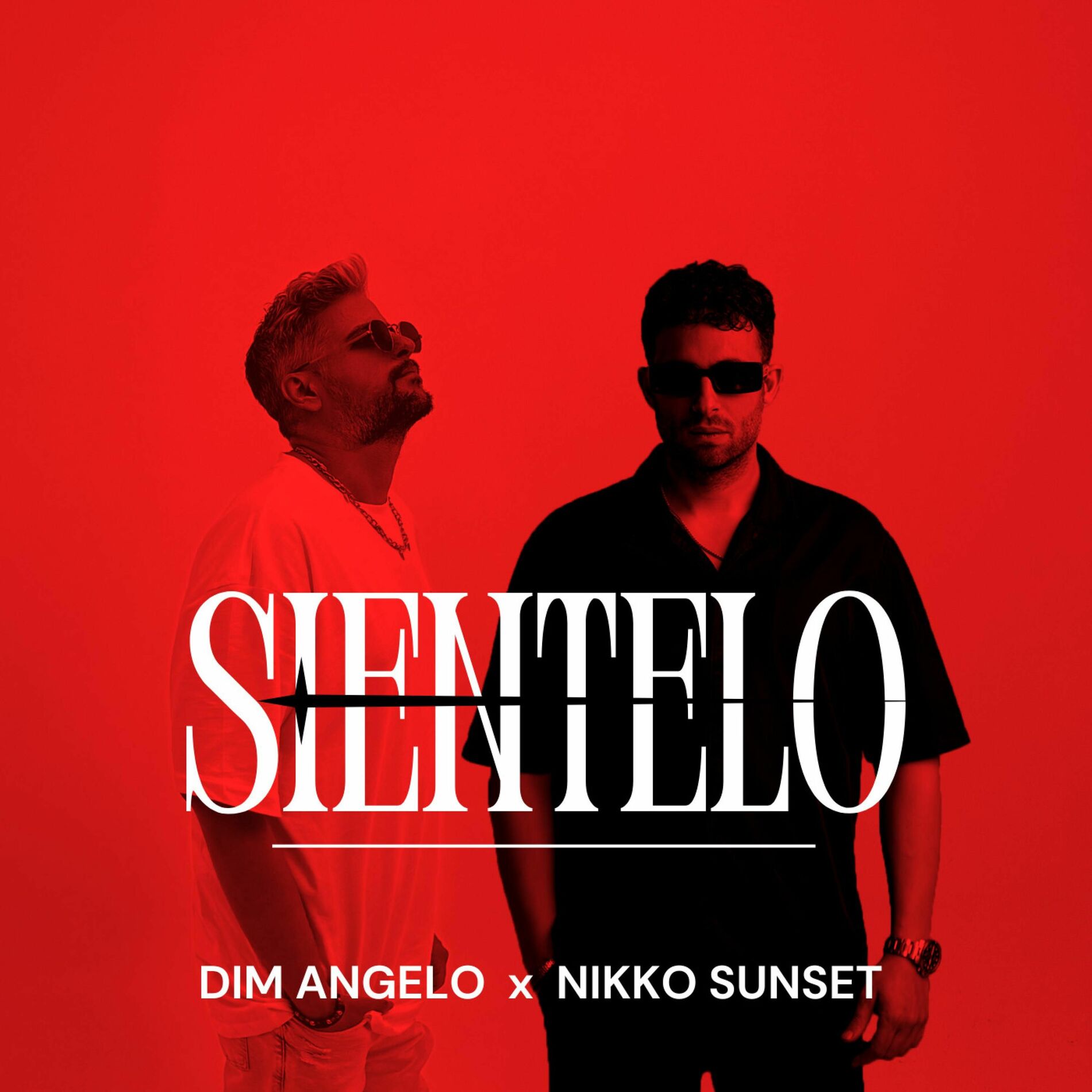 Album cover of Sientelo
