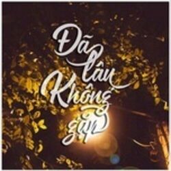 Cover of Đã Lâu Không Gặp