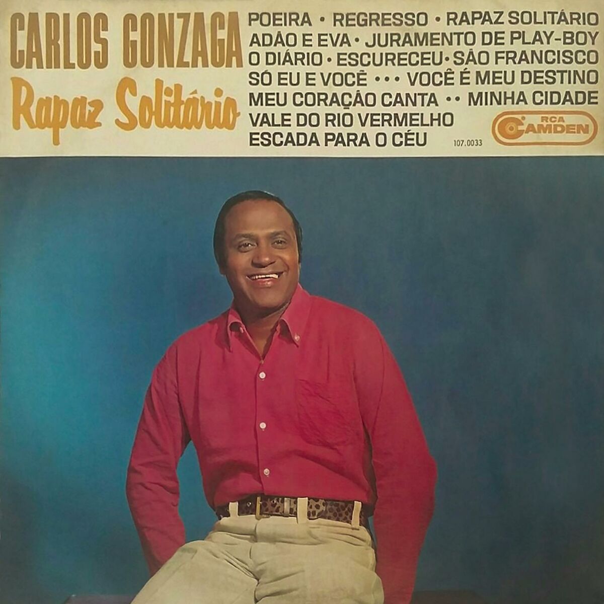 Album cover of Rapaz Solitário