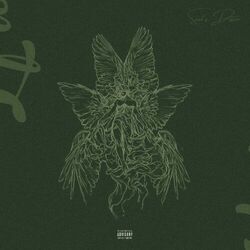 Cover of Soul's Desire