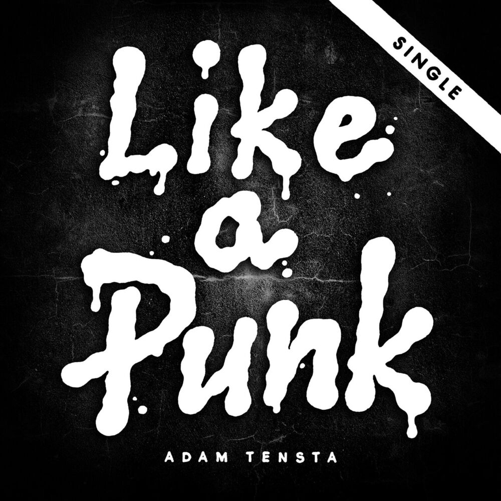 Picture of Like a Punk