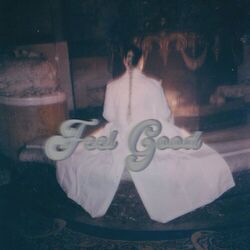 Cover of Feel Good