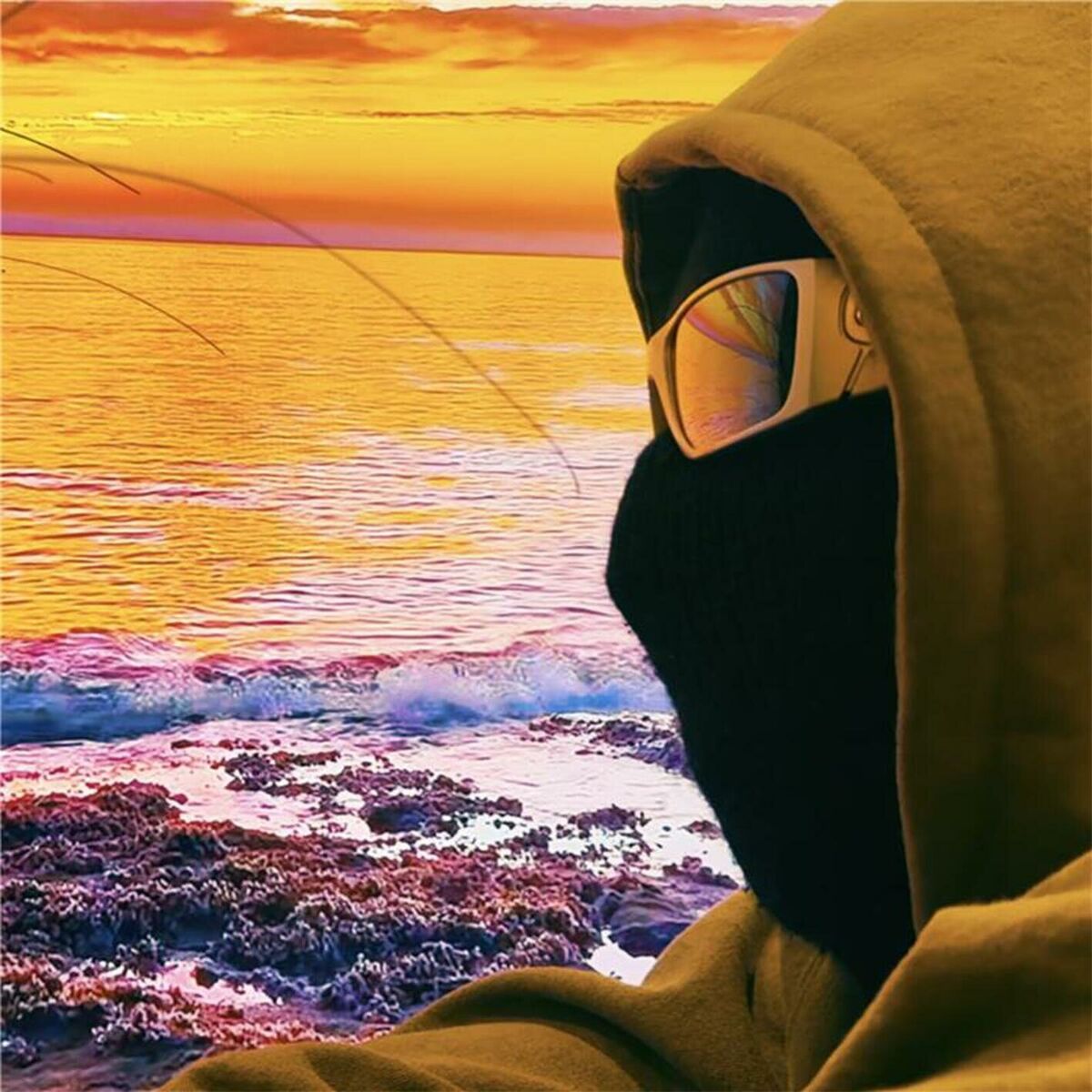 Album cover of Tropic